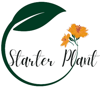 Starter Plant logo